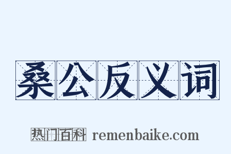 桑公反义词是什么意思的图片